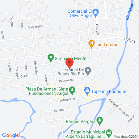 Clinica Nahuelbuta map