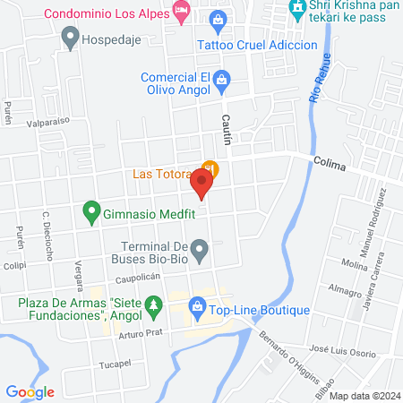 DR. CLAUDIO ESPEJO S. C. map