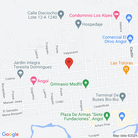 Centro integral ser evolutivo map
