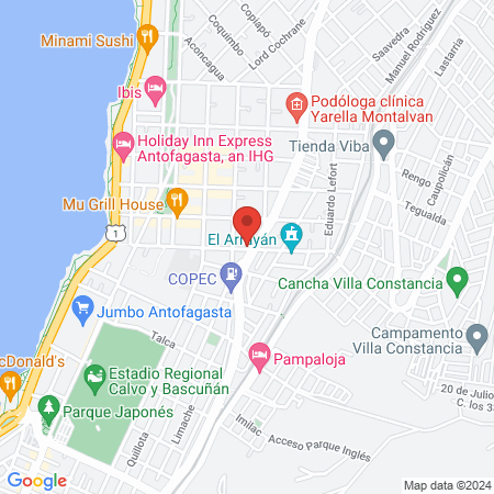 Veterinaria y Peluquería Canina EMERMEDICA map