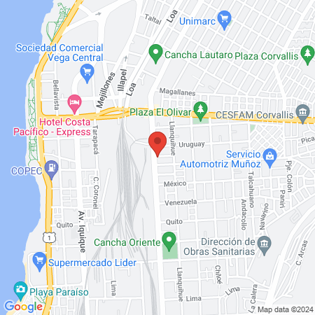 Centro veterinario Rendic map