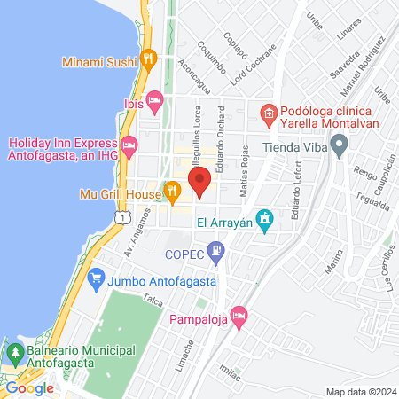 Clínica Veterinaria Guzzini map