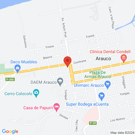 Kinesiólogo Leonardo Etcheverry map