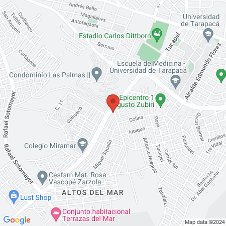 Clínica Veterinaria San Ignacio ARICA map