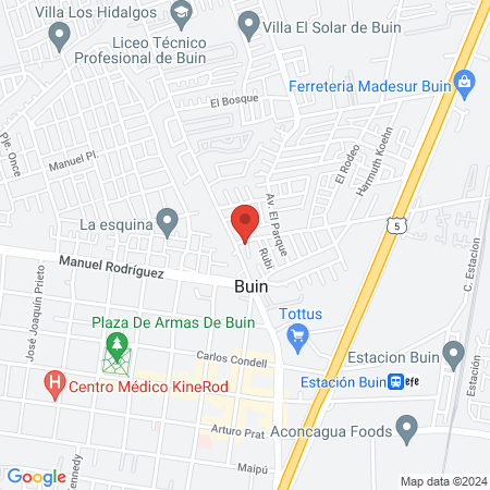 Consulta Veterinaria | BUIN map