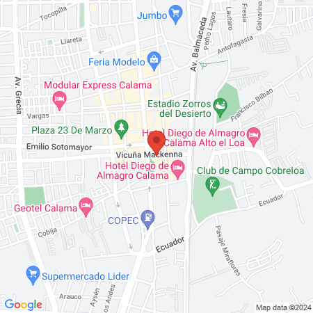 Lion King barbería calama map