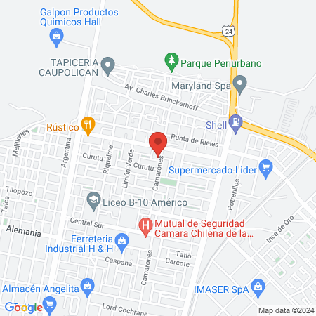 Clinica Veterinaria Lickan Pets map