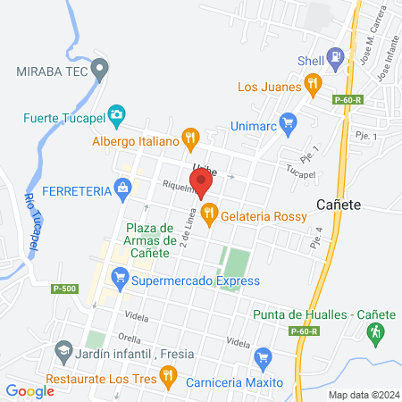 Palace of Sport, Culture and the Arts LGM map