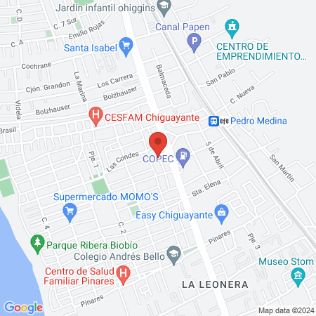 Clinica Veterinaria Animal Center Chiguayante map
