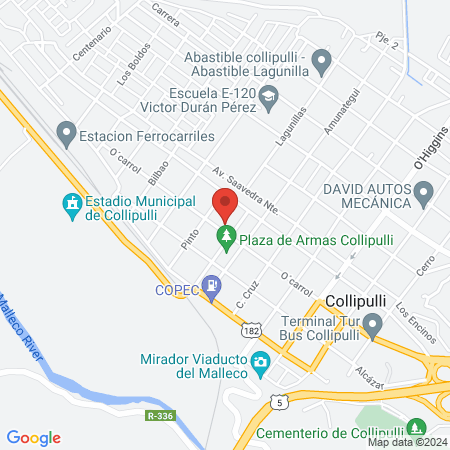 Clínica Veterinaria Collipulli map