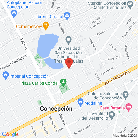 Hospital Veterinario Manuel Bulnes map