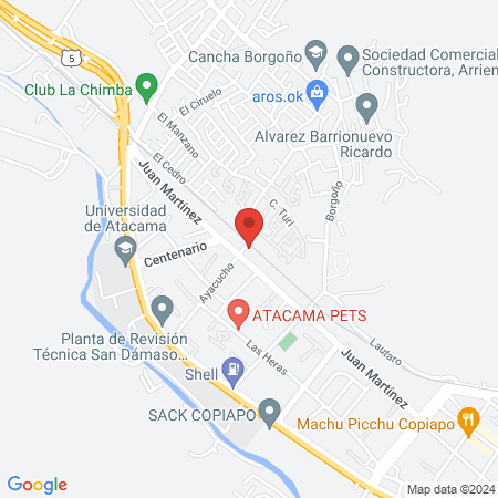 CENTRO QUIRÚRGICO VETERINARIO CEQVET map