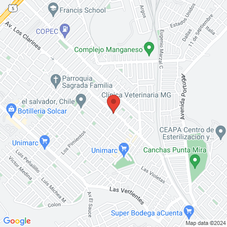 MG Veterinary Clinic map