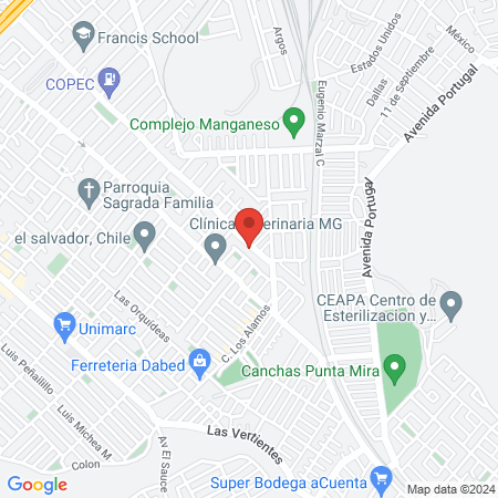 Pet Store y Peluqueria Canina Paraíso Pet map