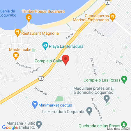 CANCHAS GALLO FUTBOLITO map