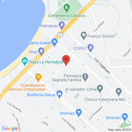 FORZA TRAINING map