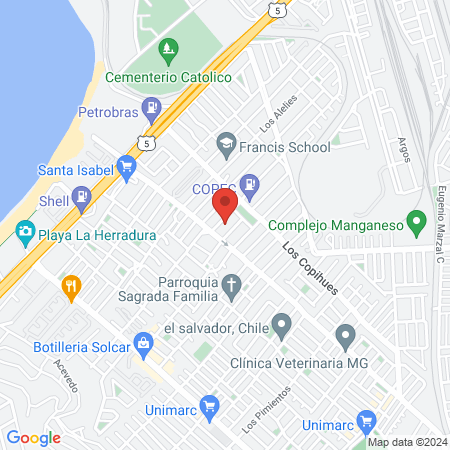 Clinica Veterinaria Peñuelas map
