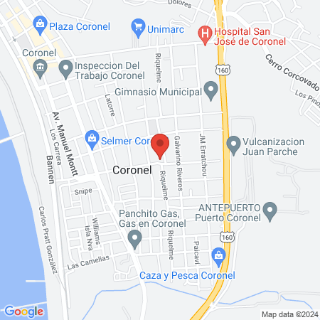 Veterinaria central map