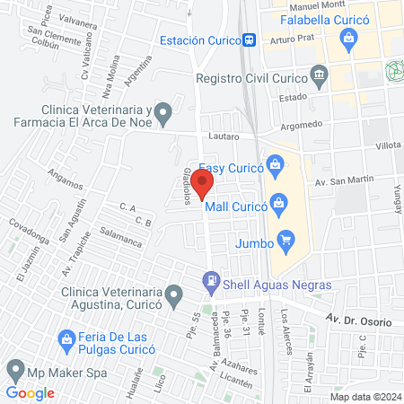 CESFAM Miguel Angel Arenas López map