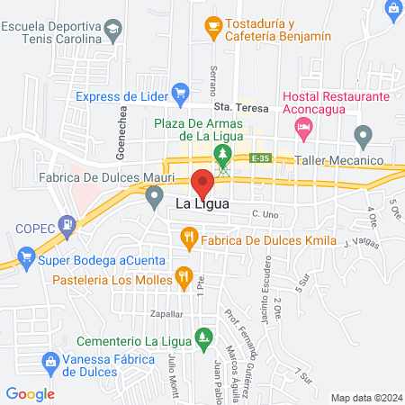 Cesfam La Ligua map