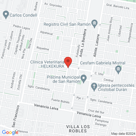 Clínica Veterinaria HELKEKURA map