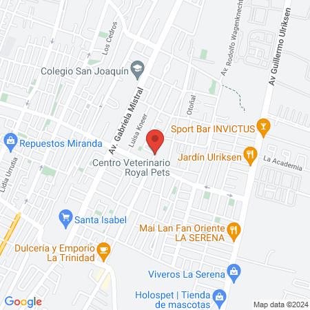 Centro Veterinario Royal Pets map