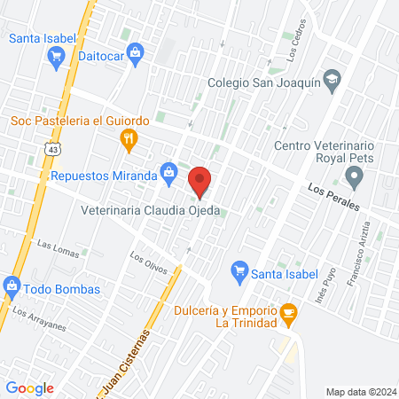 Veterinaria Claudia Ojeda map
