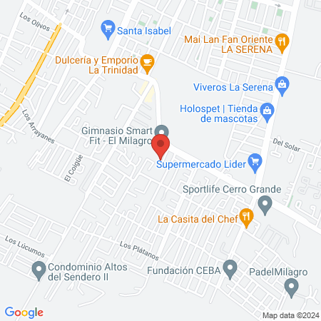 Clínica Veterinaria Modo Animal map