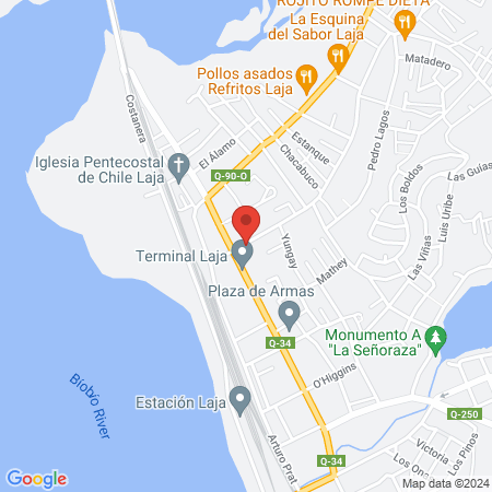 Vitalmov map