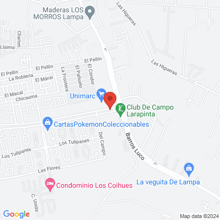Paulina M. Ibarra Argandona map