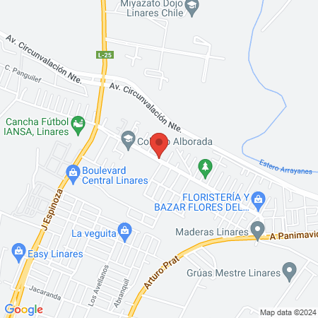 Hair Professional map