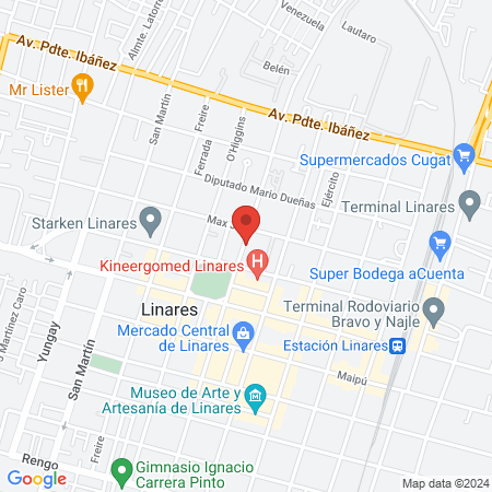 Rodrigo Navarrete. Centro Veterinario Refugio Animal, Linares map