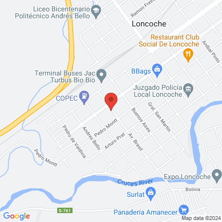 shaolin chan loncoche map