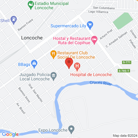 Veterinaria Central Loncoche map