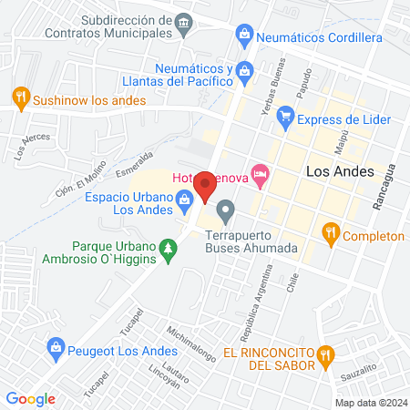 Salinas Arriagada Manuel Eduardo map