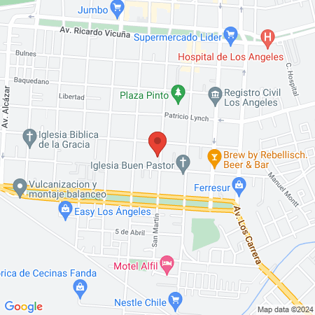 Clinica Veterinaria Bremen map