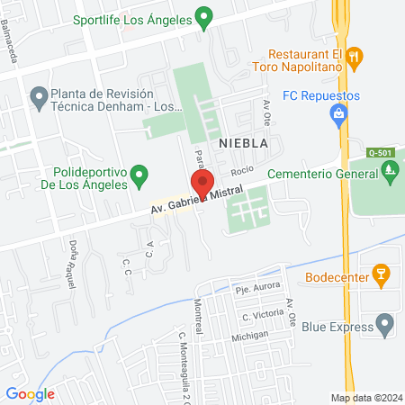 Clinica Veterinaria Gabriela Mistral map
