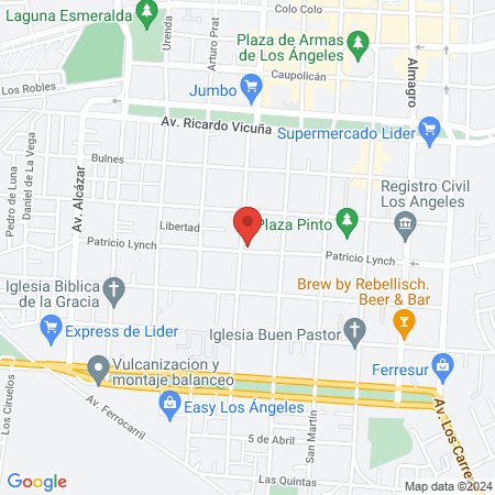 Antuco, servicios veterinarios map