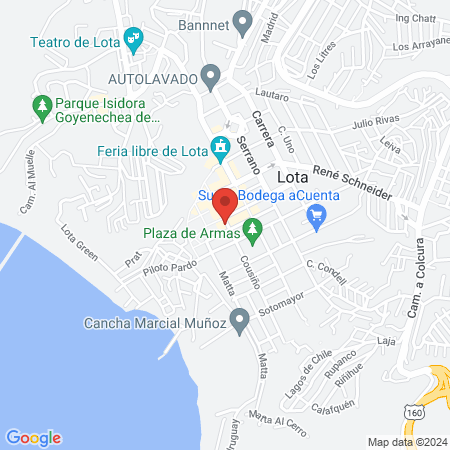 Inmunomédica Lota map