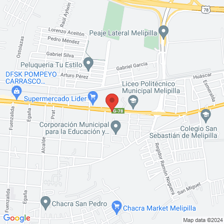 Centro Veterinario Dr. Sanchez map