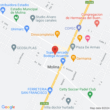 Veterinaria Francisco Loyola map