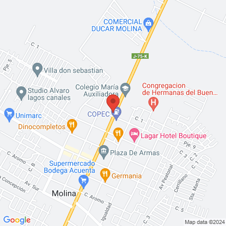 Nogal consulta veterinaria map