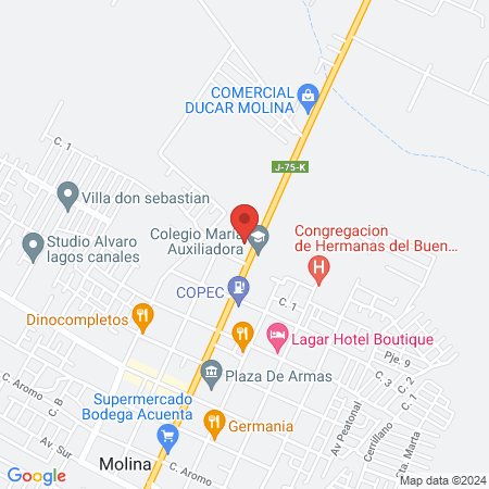 Veterinaria Patitas de Perro Molina map