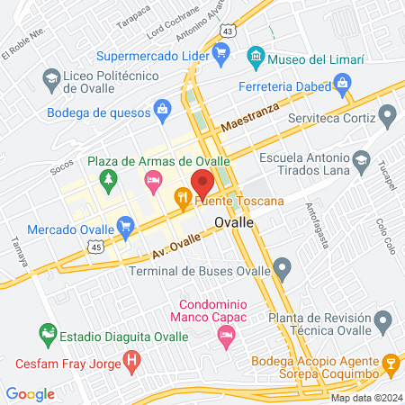 Dr. Reinaldo Tapia Aravena map