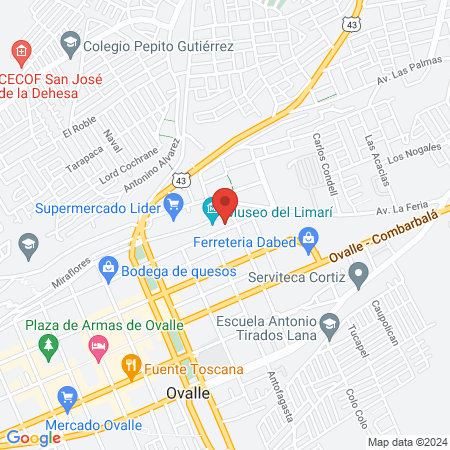Otorrinolaringólogo Dr. Sergio Perez Barrientos map