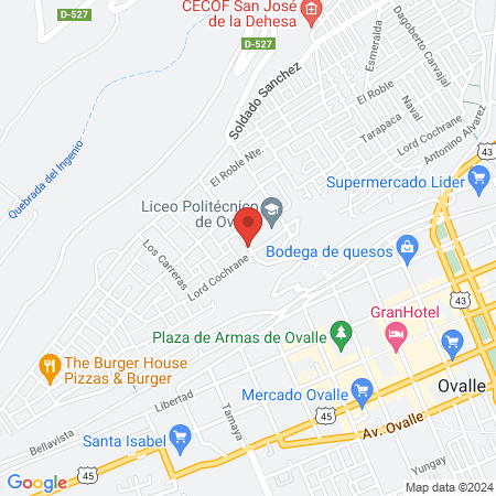 Comercial y Veterinaria Harry Dictter Ltda map