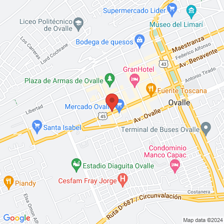 Patricio Eduardo Roco Argandona map