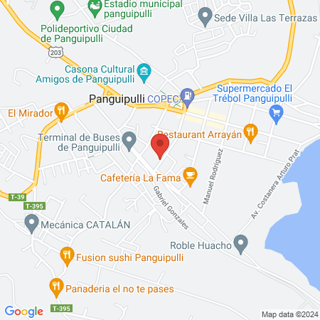 salon.antu map