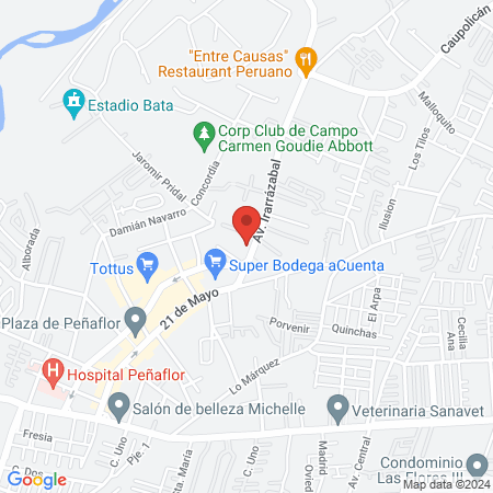 Clinica Dental Doctor Clunes map