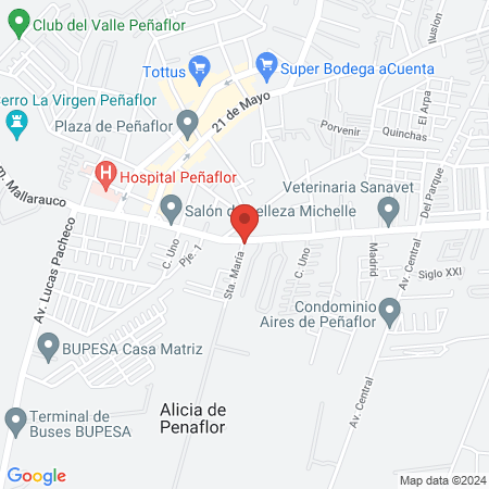 Centro Veterinario de Pequeños Animales map
